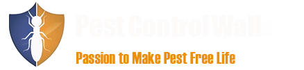 pest Control